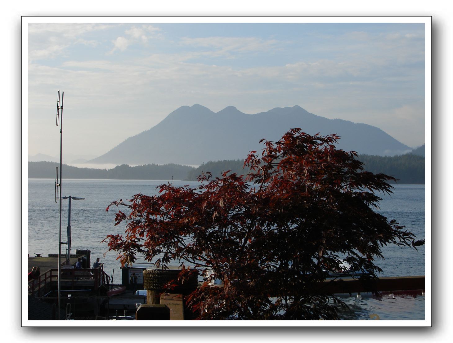 DSC00131
